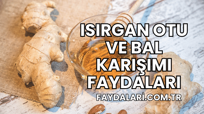 Isırgan Otu ve Bal Karışımı Faydaları