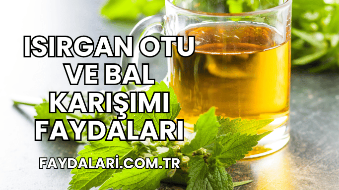 Isırgan Otu ve Bal Karışımı Faydaları