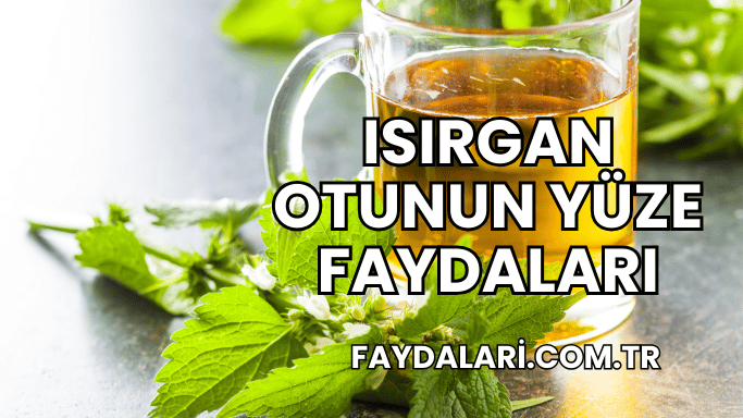 Isırgan Otunun Yüze Faydaları