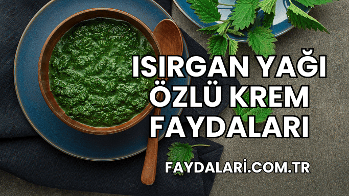 Isırgan Yağı Özlü Krem Faydaları