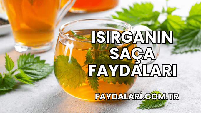 Isırganın Saça Faydaları