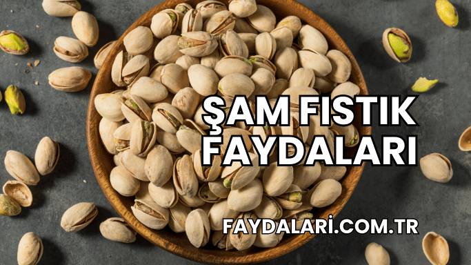 Şam Fıstık Faydaları