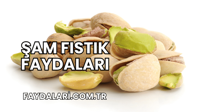 Şam Fıstık Faydaları