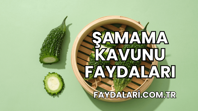 Şamama Kavunu Faydaları