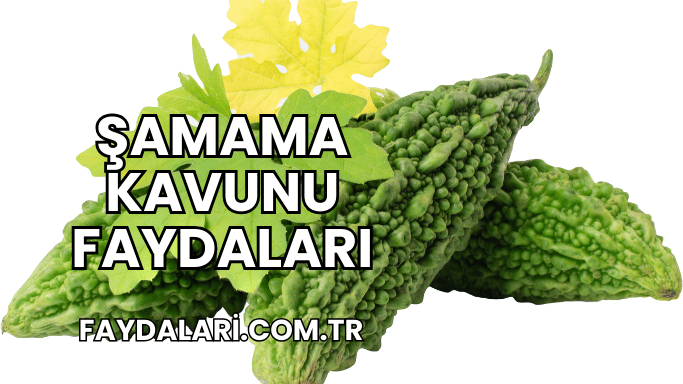 Şamama Kavunu Faydaları