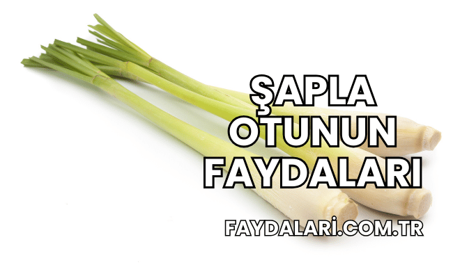 Şapla Otunun Faydaları