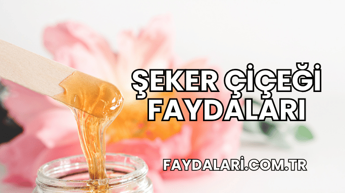 Şeker Çiçeği Faydaları