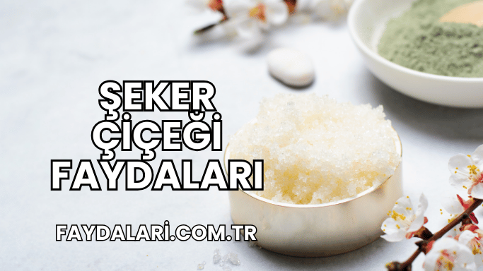 Şeker Çiçeği Faydaları