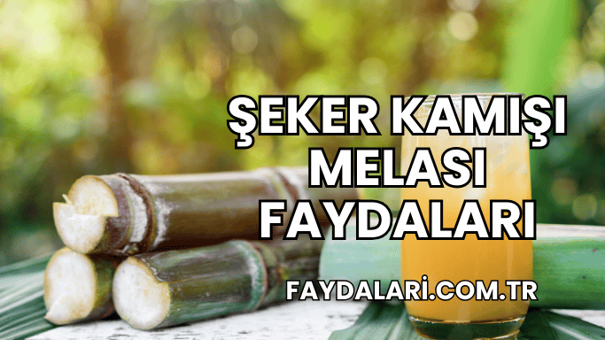 Şeker Kamışı Melası Faydaları