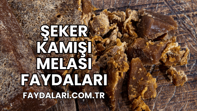 Şeker Kamışı Melası Faydaları