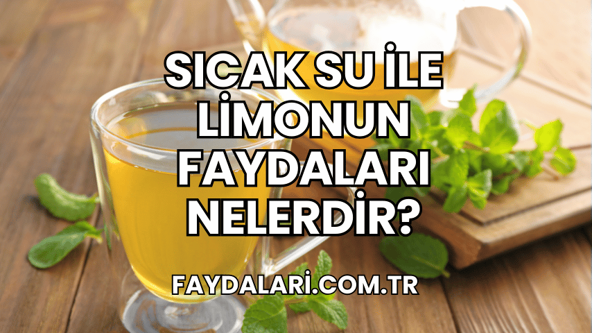 Sıcak Su ile Limonun Faydaları Nelerdir?