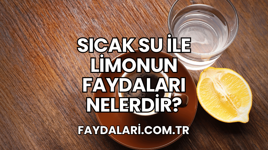 Sıcak Su ile Limonun Faydaları Nelerdir?