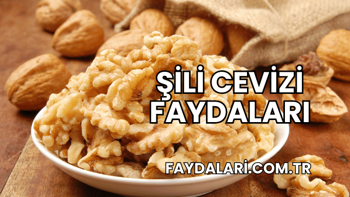 Şili Cevizi Faydaları