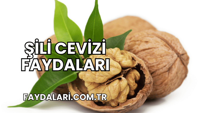 Şili Cevizi Faydaları