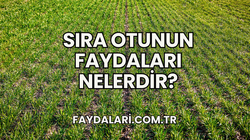 Sıra Otunun Faydaları Nelerdir