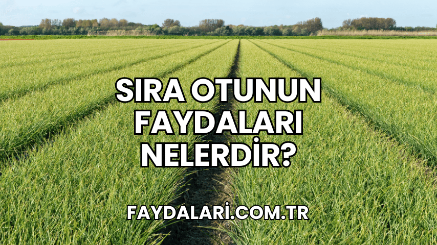 Sıra Otunun Faydaları Nelerdir