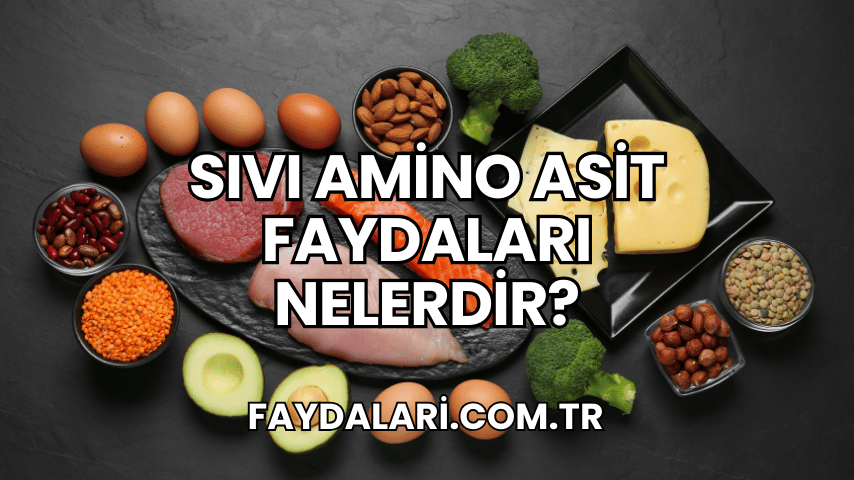 Sıvı Amino Asit Faydaları Nelerdir?