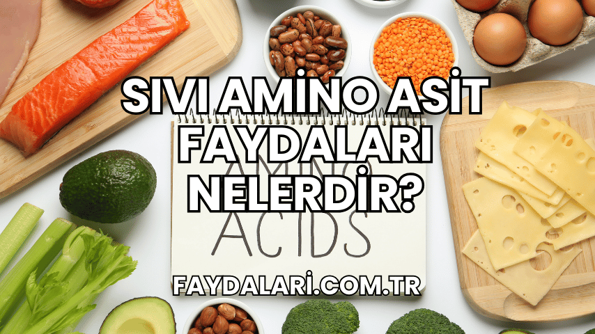 Sıvı Amino Asit Faydaları Nelerdir?