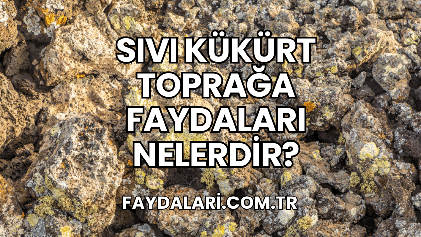 Sıvı Kükürt Toprağa Faydaları Nelerdir