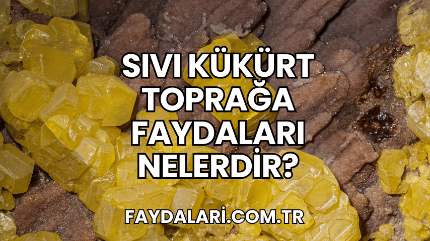 Sıvı Kükürt Toprağa Faydaları Nelerdir