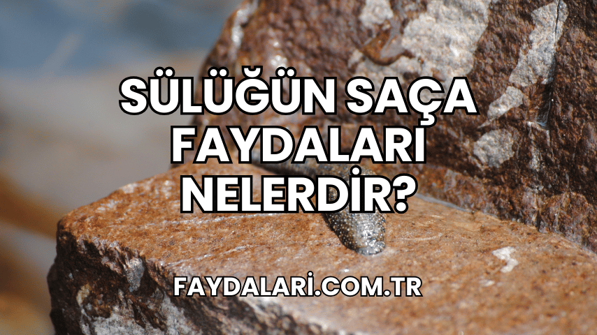 Sülüğün Saça Faydaları Nelerdir?