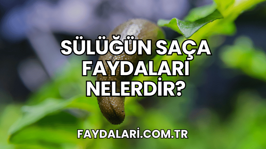 Sülüğün Saça Faydaları Nelerdir?