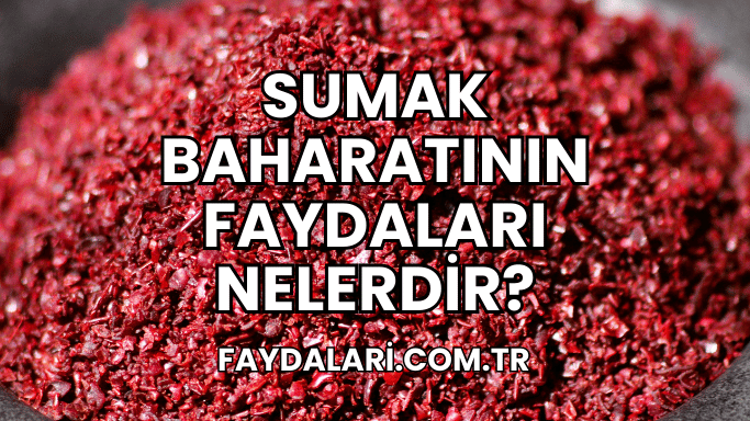 Sumak Baharatının Faydaları Nelerdir?