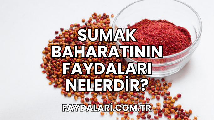 Sumak Baharatının Faydaları Nelerdir?