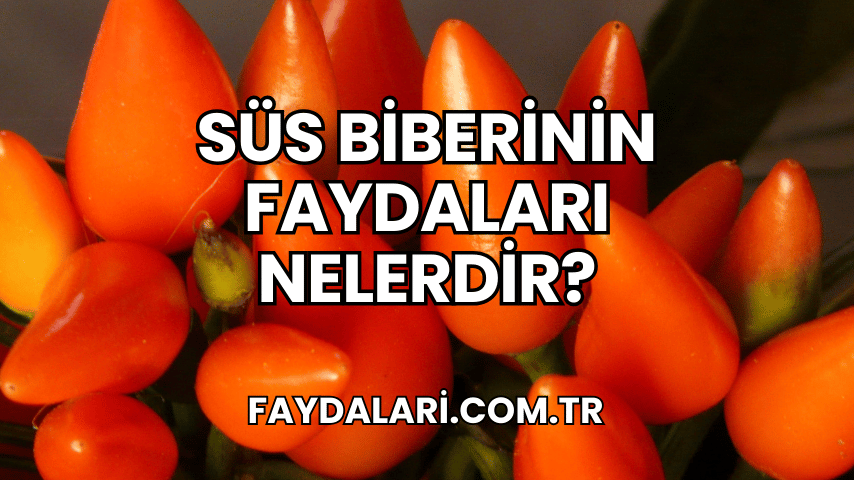 Süs Biberinin Faydaları Nelerdir?