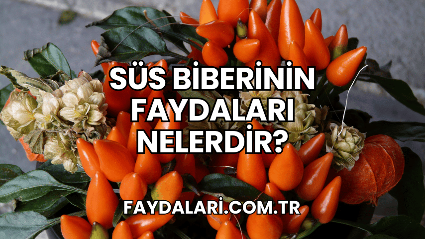 Süs Biberinin Faydaları Nelerdir?