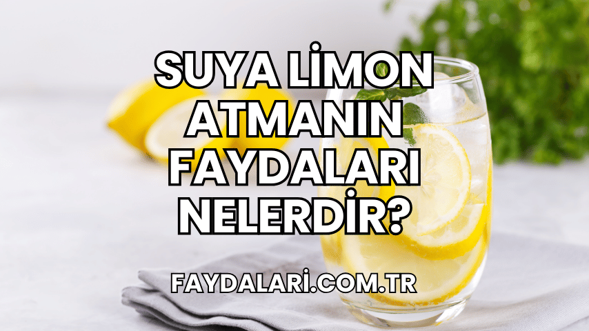 Suya Limon Atmanın Faydaları Nelerdir?