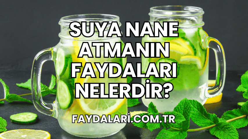 Suya Nane Atmanın Faydaları Nelerdir?