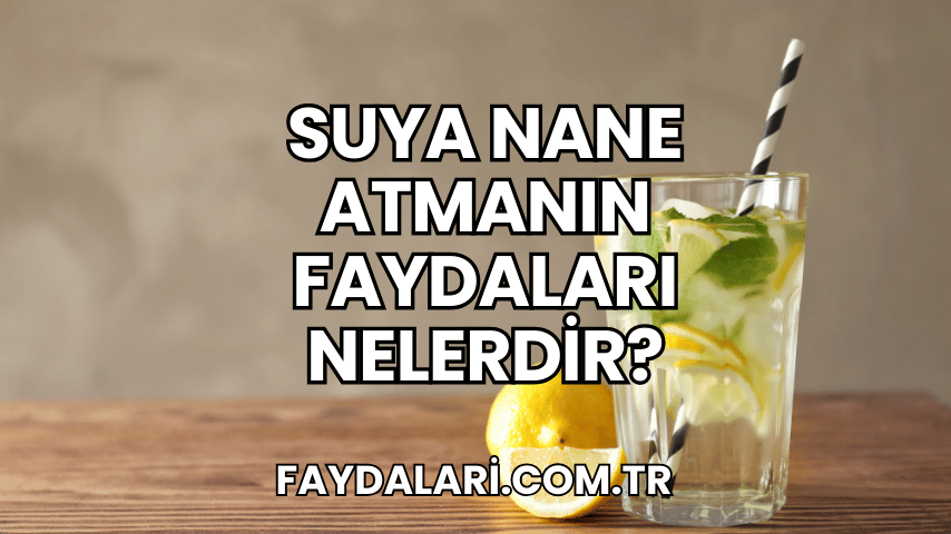 Suya Nane Atmanın Faydaları Nelerdir?