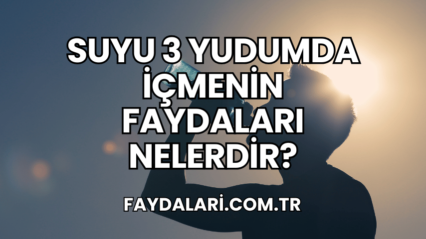 Suyu 3 Yudumda İçmenin Faydaları Nelerdir?