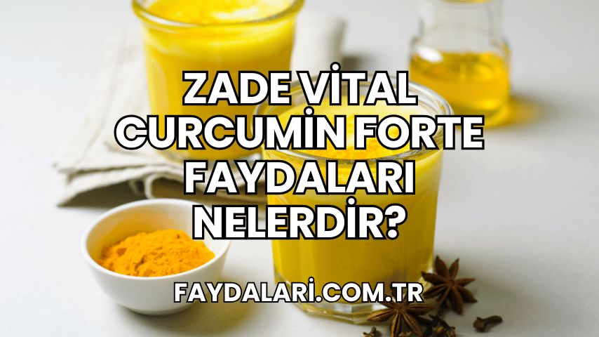 Zade Vital Curcumin Forte Faydaları Nelerdir?