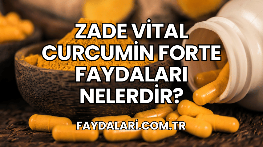 Zade Vital Curcumin Forte Faydaları Nelerdir?