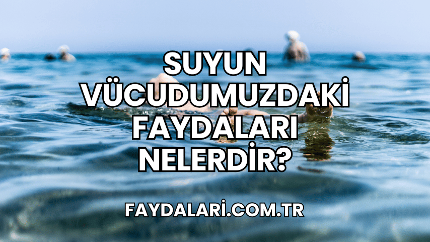 Suyun Vücudumuzdaki Faydaları Nelerdir?