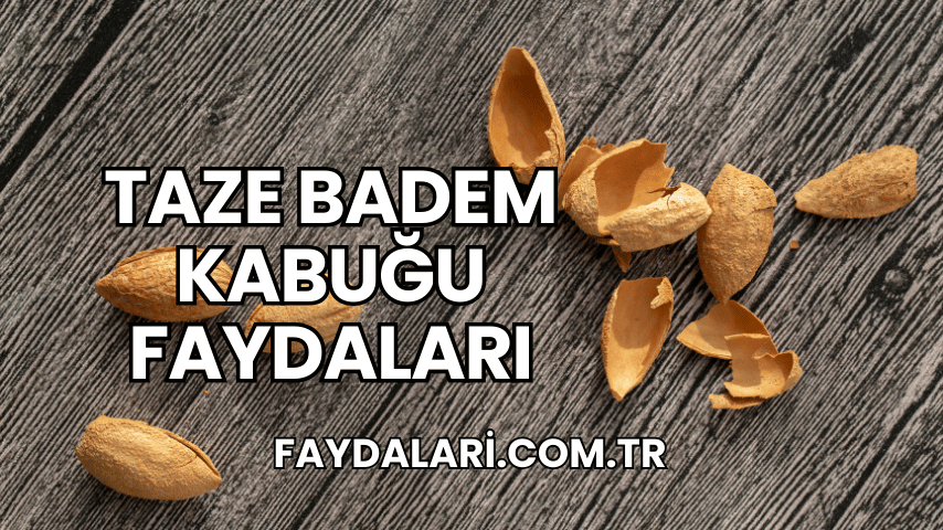 Taze Badem Kabuğu Faydaları