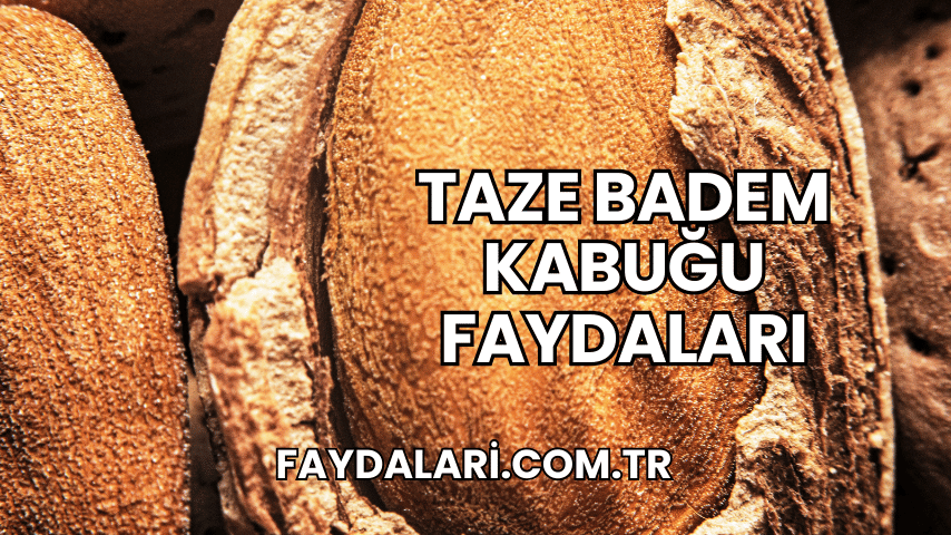 Taze Badem Kabuğu Faydaları