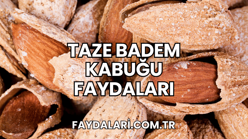 Taze Badem Kabuğu Faydaları