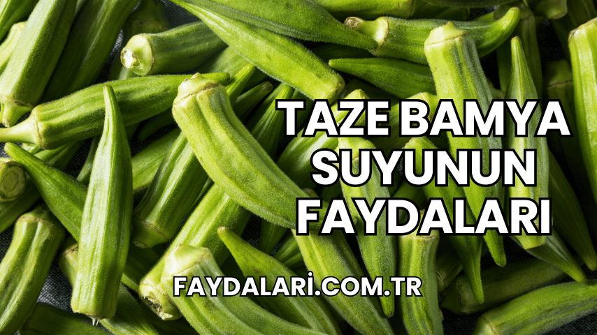 Taze Bamya Suyunun Faydaları