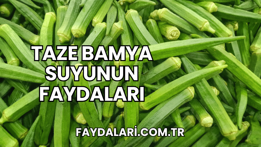 Taze Bamya Suyunun Faydaları