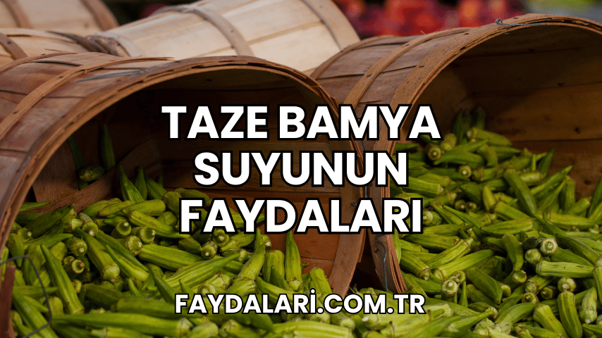 Taze Bamya Suyunun Faydaları