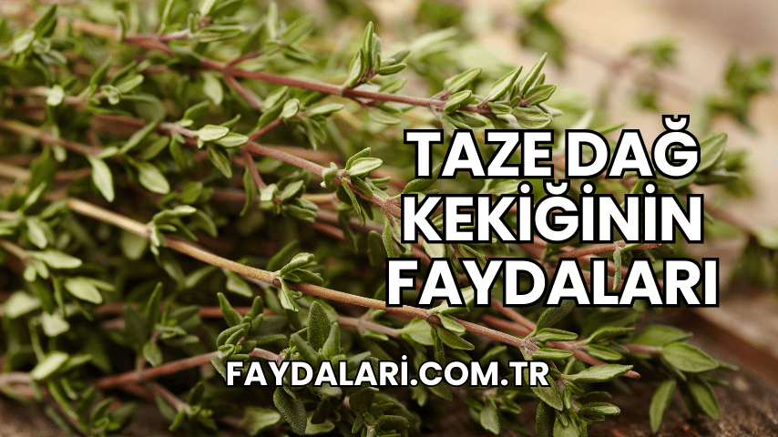 Taze Dağ Kekiğinin Faydaları