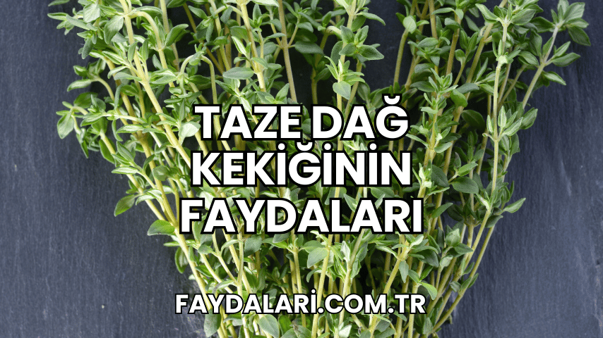 Taze Dağ Kekiğinin Faydaları