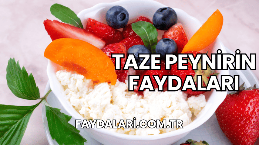 Taze Peynirin Faydaları