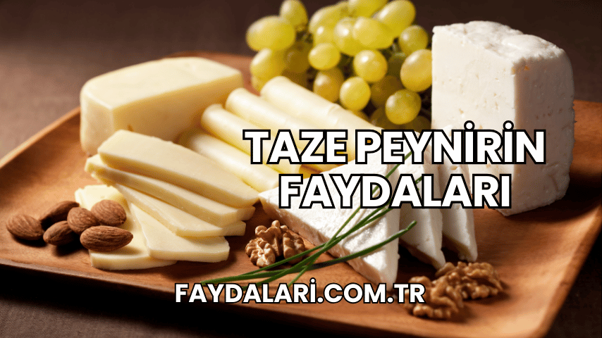 Taze Peynirin Faydaları