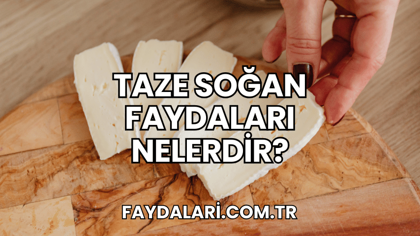 Taze Peynirin Faydaları