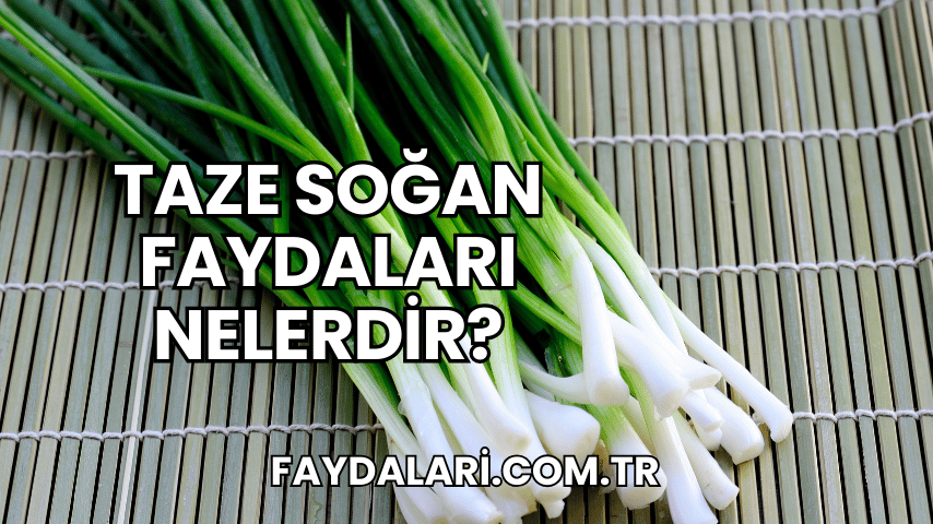 Taze Soğan Faydaları Nelerdir?