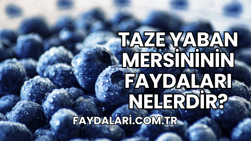 Taze Yaban Mersininin Faydaları Nelerdir?